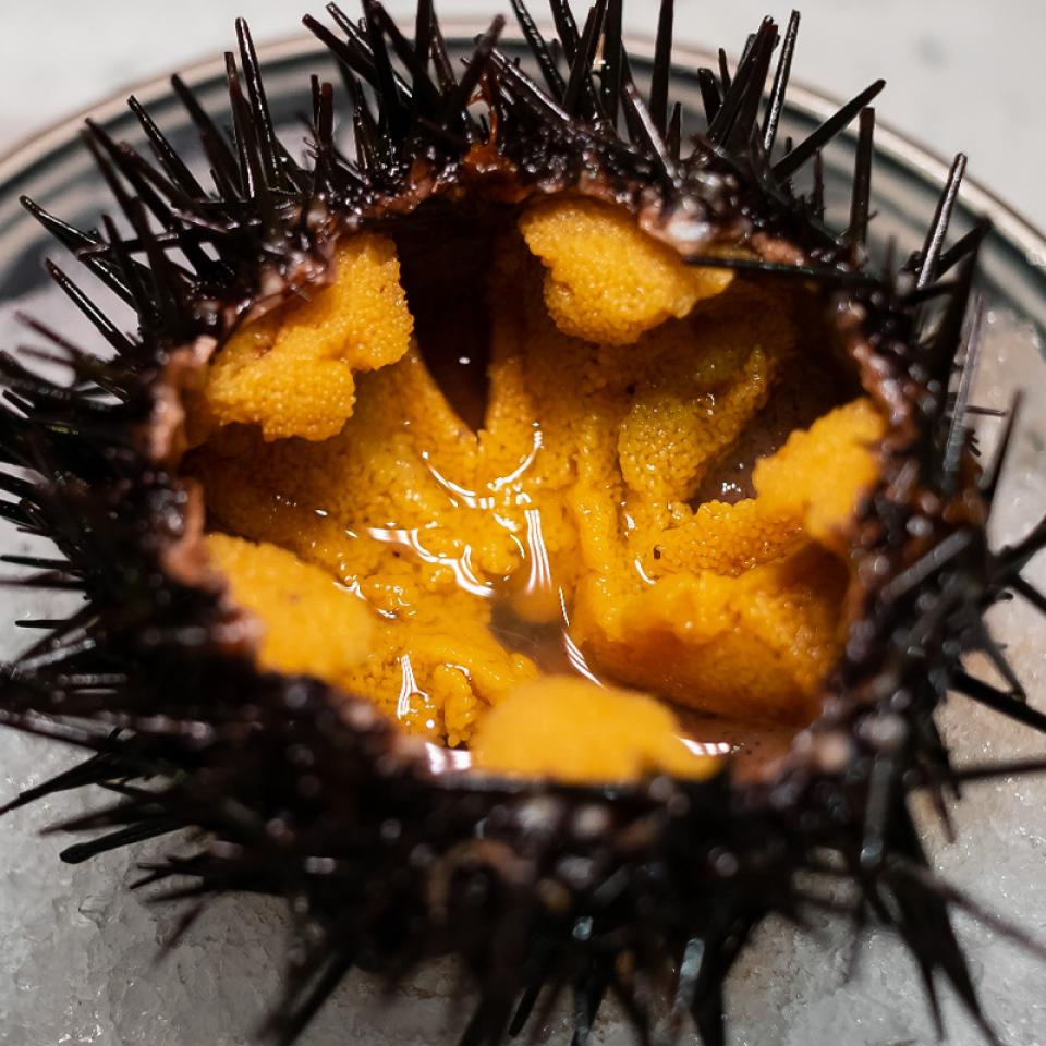 Uni With Shell KARATSUKI UNI (SEA URCHIN W/SHELL) (PER PC) — STS Grocer