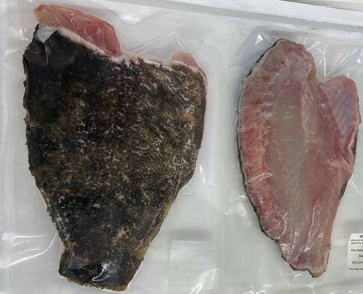 DRAGON TIGER GROUPER (FILLET) — STS Grocer