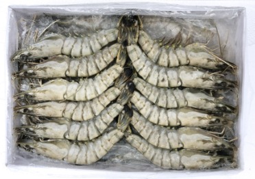 FROZEN BT TIGER PRAWN 21/25 (1KG/PKT) — STS Grocer